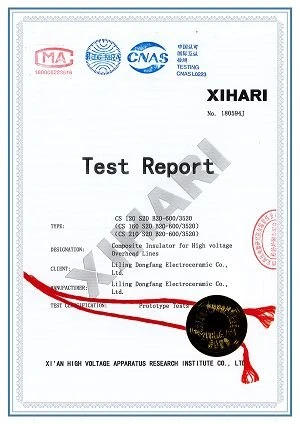 7.110kV Composite insulator test report